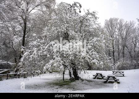 Schneebedeckter Naturpark mit Baum und Picknicktischen. Quellen von Lavino, Maiella Nationalpark, Abruzzen, Italien Stockfoto