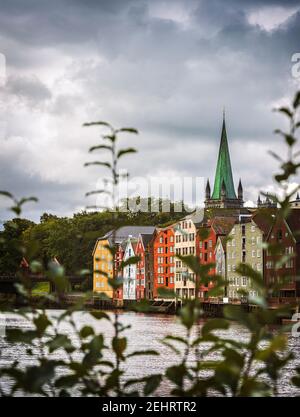 Bunte Gebäude entlang des Flusses nidelva, in Trondheim, Norwegen. Stockfoto