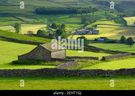 Landschaftlich reizvolle Wharfedale-Landschaft (Tal, Hügel, Feldscheune, Trockenmauern, grüne Weiden, Rolling Hills) - Yorkshire Dales, England, Großbritannien. Stockfoto