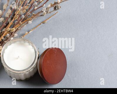 Weidenzweig und Nieren auf grauem Hintergrund Stockfoto