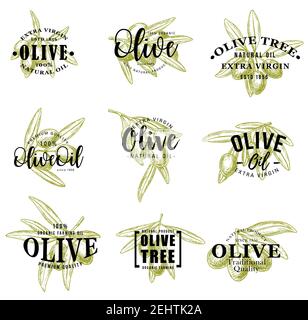 Olive Ikonen von grünen Oliven auf Ästen. Vector extra natives Öl zum Würzen und Dressing, Bio-Naturprodukt Symbole von Früchten mit Blättern. It Stock Vektor