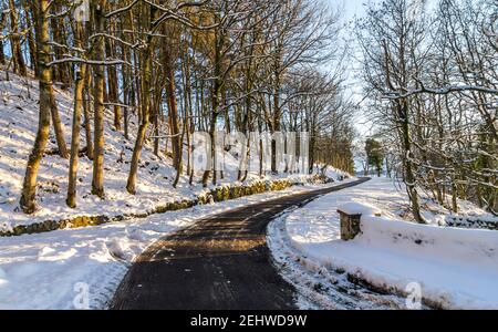 Eine schmale Landstraße windet sich durch schneebedeckte Wälder in warmem, spätnachmittäglichem Sonnenlicht (Weardale, County Durham) Stockfoto