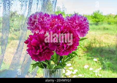 Ein Bouquet von fünf Pflanzen aus Blumen, rosa und roten Pfingstrosen in einer Kristallvase Stockfoto