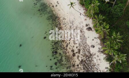 Steine am tropischen Strand in der Nähe des Meeres. Von oben raue Felsbrocken am Sandstrand in der Nähe von grünen Palmen und blauem Meerwasser auf Koh Samui, Thailand. Traum Stockfoto