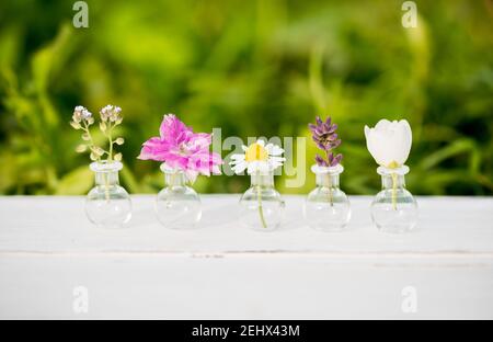 Blumenstrauß auf Holz.Sommerblumen, Batanica auf weißem Hintergrund. Stiefmütterchen und Kamille, Jasmin, Lavendel und Helichrysium in Glas Stockfoto