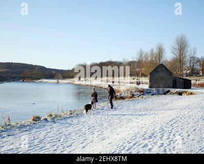 Mann und Tochter spielen mit Collie Hund im Schnee auf Ufer des Flusses Dee Stockfoto