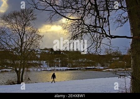 Mann, der entlang des Flusses Dee Bank im Schnee und in einem Fleck des frühen Morgenlichts läuft. Stockfoto