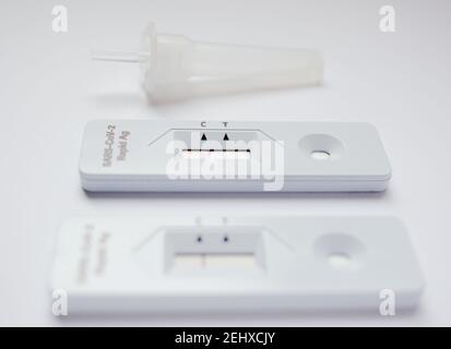 Zwei negative Ergebnisse von COVID-19-Tests, die mit einem schnellen Antigen-Test zu Hause mit dem SARS-CoV-2 AG Quick Antibodies Test Kit erzielt wurden. Nahaufnahme. Stockfoto