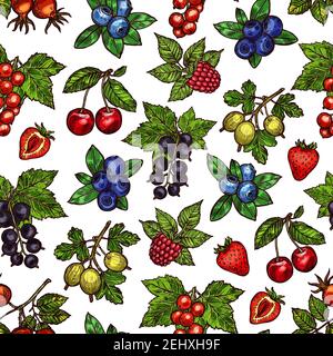 Beeren auf Ast oder Stiel Skizzen in nahtloser Muster. Hündrose und Brombeere, rote oder schwarze Johannisbeere, Heidelbeere und Himbeere, Kirsche und Erdbeere, Stock Vektor