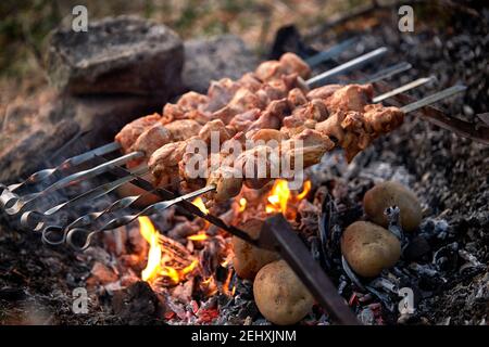 Kebabs in der Natur, mit gebackenen Kartoffeln in Kohlen, auf einem alten hausgemachten Grill, mit einer geringen Schärfentiefe Stockfoto