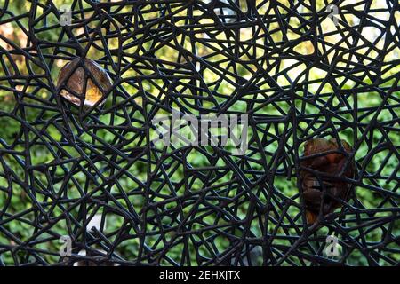 Das Peggy Guggenheim Museum am Canal Grande, Stadt Venedig, Italien, Europa Stockfoto
