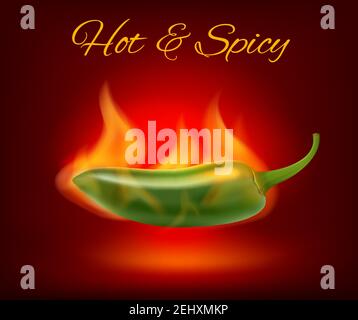 Jalapeno Chili Pfeffer in Feuer Flamme Poster. Vector mexikanische scharfe Küche Fast Food oder Restaurant Bar Menü von grünen heißen Jalapeno Pfeffer auf roten Backgrou Stock Vektor