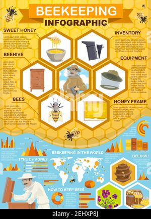 Imkerei, Honigsammlung und Imkerei Infografik. Vektor-Statistiken, Diagramme und Flussdiagramme auf Weltkarte auf Imker Ausrüstung Inventar, Honeyco Stock Vektor