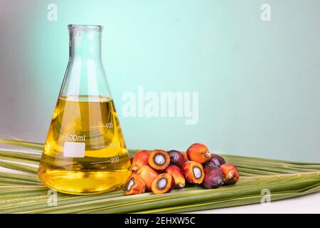 Palmenfrüchte mit Biokraftstoff im Becher im Labor mit Ölen Grüner Hintergrund Stockfoto