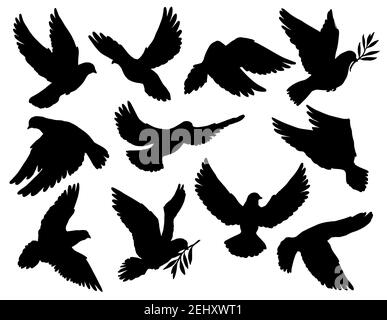 Taube Silhouetten mit Olivenzweig, Frieden Symbol. Vector Taube mit ausgebreiteten Flügeln fliegen mit Lorbeerstamm in Schnabel. Heiliger Vogel im Christentum, Freiheit Stock Vektor