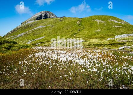 Wunderschöne Landschaft in den schottischen Highlands. Blick auf den Mamores Ridge in den schottischen Highlands an einem sonnigen Sommertag. Stockfoto