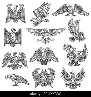 Adler herladic Skizze Ikonen. Vektor Gothic heraldry Vogel-Design, Wappen und königliche Schild Symbol oder Tattoo Adler fliegen mit ausgebreiteten Flügeln und Klaue Stock Vektor