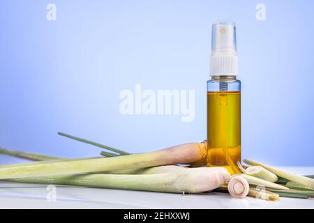 Natürliche Moskitos abweisende Spray aus Zitronengras ätherisches Öl abgeleitet und Andere Kräuter Stockfoto