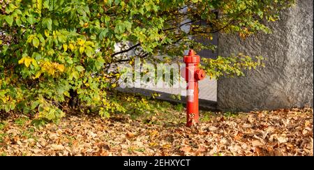 Roter Hydrant, umgeben von trocken gefallenen Blättern im Herbst Stockfoto