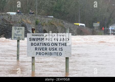 Abergavenny, Monmouthshire, Wales, UK Wetter - Samstag 20th Februar 2021 - der Fluss Usk in schneller Strömung hat begonnen, seine Ufer nach heftigen Regen in den letzten 24 Stunden in Südwales zu überlaufen. Die Prognose ist für mehr Regen. Foto Steven May / Alamy Live News Stockfoto