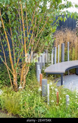 Eine moderne Gartenbank auf Stein gepflasterten Terrasse - Bepflanzung Von mehrstämmigen Prunus maackii Amber Beauty Baum Ziergräser - Deschampsia cespitosa UK Stockfoto