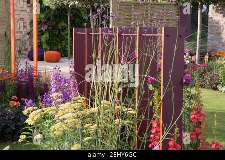 Ein moderner Garten mit bemalten Bildschirm Grenze Zaun - Blumenbeete gefüllt mit Verbena bonariensis, Achillea millefolium - Dahlien - England GB UK Stockfoto