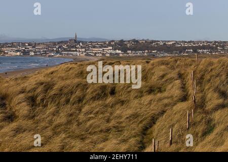 Sandhügel und Gras und Zaun mit Stadt im Hintergrund mit katholischer Kirche auf dem Berg. Tramore Naturschutzgebiet. Waterford. Irland. hor Stockfoto