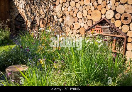 Wildtiere und kinderfreundlicher Garten mit einer Wand aus gemacht Baumstämme ein Lebensraum für Insekten Hotels und Wildblumen Grenzen - Leucanthemum x superbum Snowcap UK Stockfoto