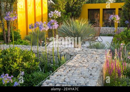 Modernes Gartenbüro - Home Office Studio im mediterranen Klima Garten mit Agapanthus Blue Storm und Yucca rostrata Blue Swan Gabion Gabions Wand Stockfoto