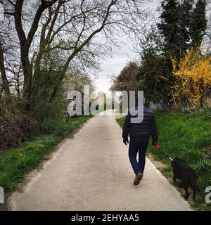 Rückansicht eines Mannes, der mit seinem Hund in der Gassi geht Der Park Stockfoto