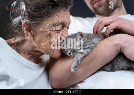 Männliche Assistentin, Freiwillige und ältere Frau mit niedlichen Kätzchen Katze mit schönen Moment, Haustier und einem alten menschlichen Konzept. Liebe zu Haustieren, Liebe und Pflege von Katzen Stockfoto