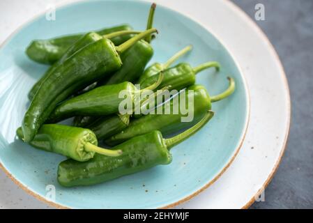 Gruppe von grünen frischen Chilischoten padron auf einem Teller Stockfoto