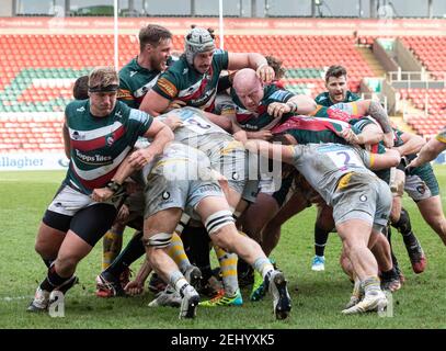 20th. Februar 2021; Welford Road Stadium, Leicester, Midlands, England; Premiership Rugby, Leicester Tiger gegen Wespen; beide Teams arbeiten hart für den Ball während eines Maul Stockfoto