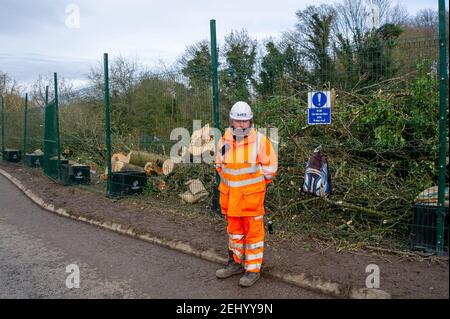 Aylesbury, Buckinghamshire, Großbritannien. 20th. Februar 2021. HS2 Ltd haben diese Woche ein Waldgebiet in Aylesbury übernommen und in den wunderschönen Spinney-Wäldern spät in der Nacht und bis in die frühen Morgenstunden riesige, reife Bäume gefällt. HS2 waren nicht in der Lage, eine Kopie der Natural England Lizenz, die sie haben müssen, damit diese Arbeit stattfinden, wie Fledermauswurzeln werden geglaubt, um in den Wäldern vorhanden sein. HS2 Sicherheitskräfte bewachen den Wald 24/7 und benutzen auch bösartige Hunde, um ihr nahegelegenes Gelände zu bewachen. Die Hochgeschwindigkeitsstrecke 2 von London nach Birmingham ist eine riesige Narbe Stockfoto