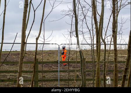 Aylesbury, Buckinghamshire, Großbritannien. 20th. Februar 2021. Ein Hundeführer von HS2 geht durch eine Haselnusspappice, bevor sie HS2 zerstört wurde. HS2 Ltd haben diese Woche ein Waldgebiet in Aylesbury übernommen und in den wunderschönen Spinney-Wäldern spät in der Nacht und bis in die frühen Morgenstunden riesige, reife Bäume gefällt. HS2 waren nicht in der Lage, eine Kopie der Natural England Lizenz, die sie haben müssen, damit diese Arbeit stattfinden, wie Fledermauswurzeln werden geglaubt, um in den Wäldern vorhanden sein. HS2 Sicherheitskräfte bewachen das Holz 24/7 und benutzen auch bösartige Hunde, um ihre nahe gelegenen comp zu bewachen Stockfoto