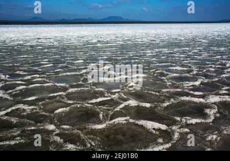 Plattensee in witer Zeit, Ungarn Stockfoto