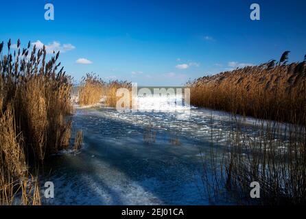 Plattensee in witer Zeit, Ungarn Stockfoto
