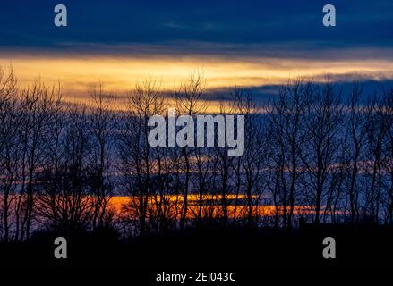 Surendorf, Deutschland. Februar 2021, 20th. Die Sonne untergeht hinter den Böschungen am Ufer der Eckernförder Bucht. Quelle: Axel Heimken/dpa/Alamy Live News Stockfoto