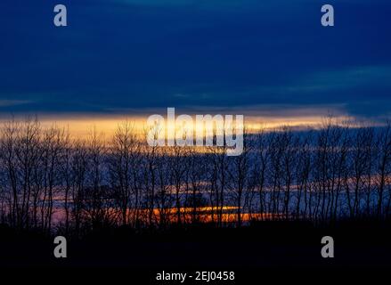 Surendorf, Deutschland. Februar 2021, 20th. Die Sonne untergeht hinter den Böschungen am Ufer der Eckernförder Bucht. Quelle: Axel Heimken/dpa/Alamy Live News Stockfoto