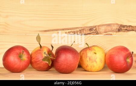Mehrere reife frisch duftende leckere Jonagold Äpfel, auf einem Hintergrund aus natürlichem Holz. Stockfoto