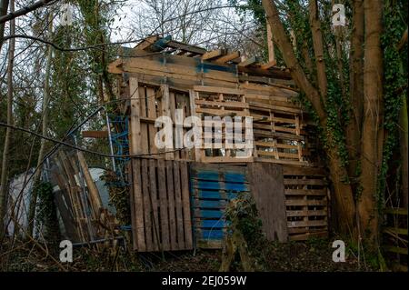 Aylesbury, Buckinghamshire, Großbritannien. 20th Februar, 2021.HS2 Ltd übernahm ein Holz namens Spinney Anfang dieser Woche und haben begonnen, es zu zerstören. Stop HS2 Aktivisten haben ein neues Lager in den Wäldern in der Nähe aufgebaut, um HS2 daran zu hindern, die Bäume zu Fällen. Die Zahl der Demonstranten wächst von Tag zu Tag, da die Menschen sehen, wie zerstörerisch die Hochgeschwindigkeitsbahn von London nach Birmingham für die Umwelt ist. Quelle: Maureen McLean/Alamy Live News Stockfoto