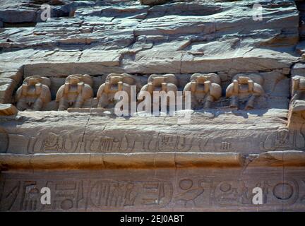 Abu Simbel Ägypten großer Tempel Tempel von Ra-Harakhte Reihe von Paviane Stockfoto