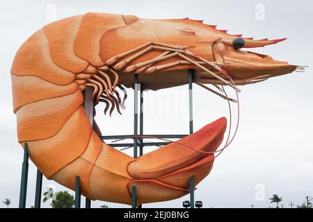 The Big Prawn, River Street, West Ballina, New South Wales, Australien. Stockfoto