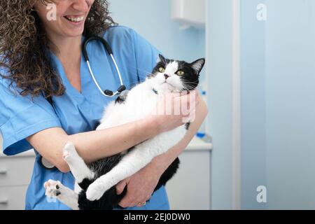 Schöne weibliche Arzt Tierarzt hält eine niedliche weiße Katze auf den Händen an Tierarzt Klinik und lächelt. Hochwertige Fotos Stockfoto