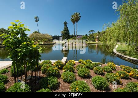 Main Pond, Royal Botanic Garden, Sydney, New South Wales, Australien. Stockfoto