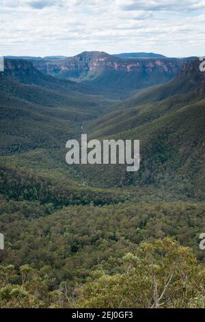 Govett Gorge und Edgeworth David Head von Evan's Lookout, Blackheath, Blue Mountains, New South Wales, Australien. Stockfoto