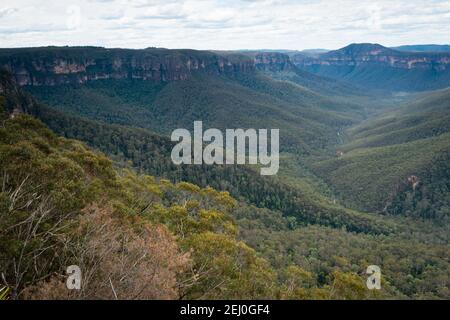 Govett Gorge und Edgeworth David Head von Evan's Lookout, Blackheath, Blue Mountains, New South Wales, Australien. Stockfoto