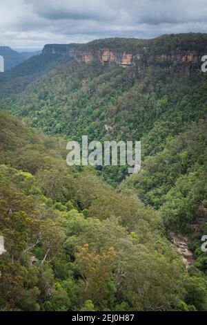 Yarrunga Valley, Morton National Park, New South Wales, Australien. Stockfoto
