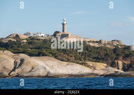 Leuchtturm auf Barunguba (Montague Island), New South Wales, Australien. Stockfoto