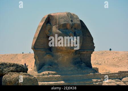 Große Sphinx von Giza, kolossale Kalksteinstatue einer Liegeergattung in Giza, Ägypten Stockfoto